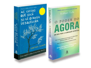 As Coisas que Você só vê Quando Desacelera+O Poder do Agora