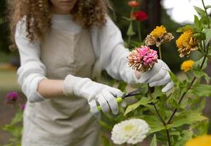 Ferramentas e Jardinagem
